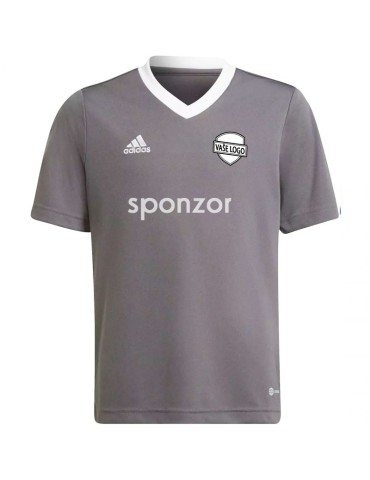 Dres adidas Entrada 22 JR (šedá)