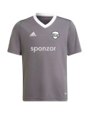 Dres adidas Entrada 22 JR (šedá)