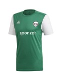 Dres Adidas Estro 19 (zelená)