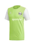 Dres Adidas Estro 19 (sv.zelená)