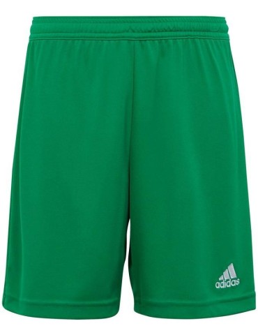 Trenky adidas Entrada 22 JR (zelená)