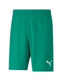 Šortky Puma teamRISE (zelená)