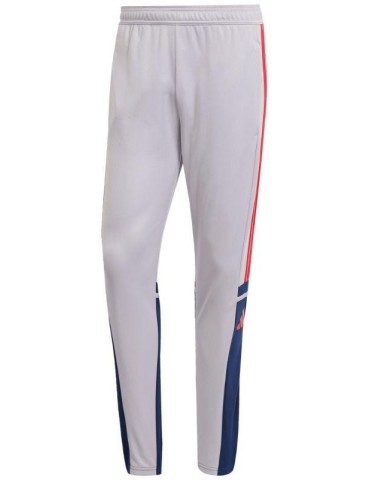 Tepláky adidas Squadra 25 Training (šedivá-červená)