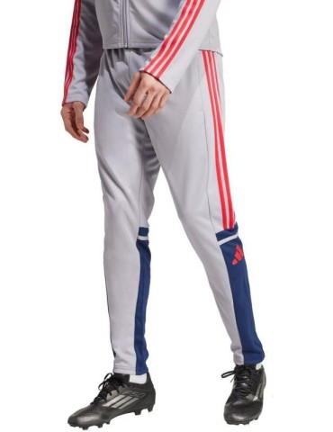 Tepláky adidas Squadra 25 Training (šedivá-červená)
