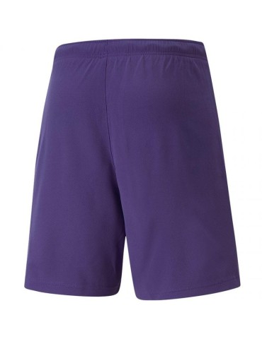Šortky Puma teamRISE (fialová)