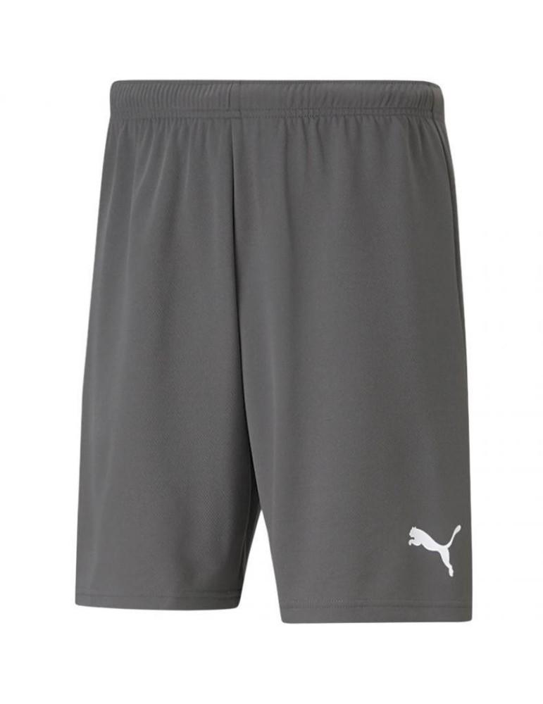 Šortky Puma teamRISE (šedá)