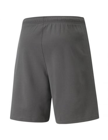 Šortky Puma teamRISE (šedá)