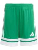 Šortky adidas Squadra 25 JR (zelená)
