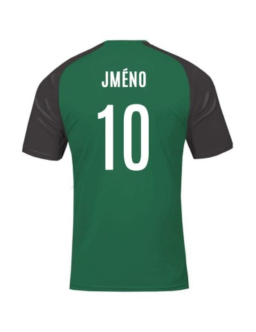Dres Joma Academy IV (zelená-černá)