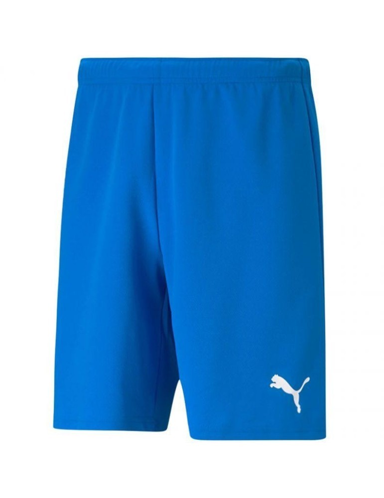Puma teamRISE